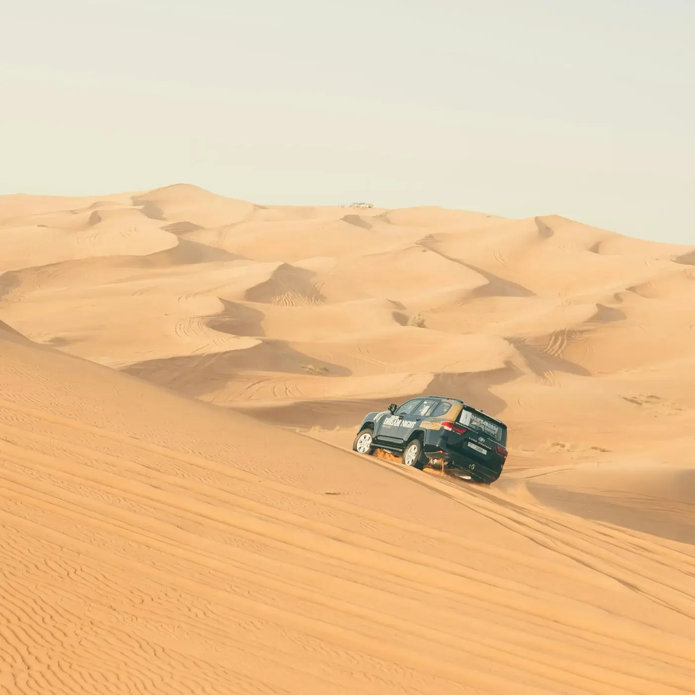 4×4 en Tunisie — photo 2