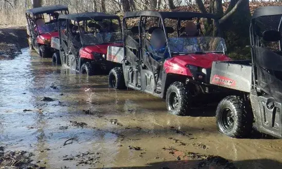 Buggy — photo 2