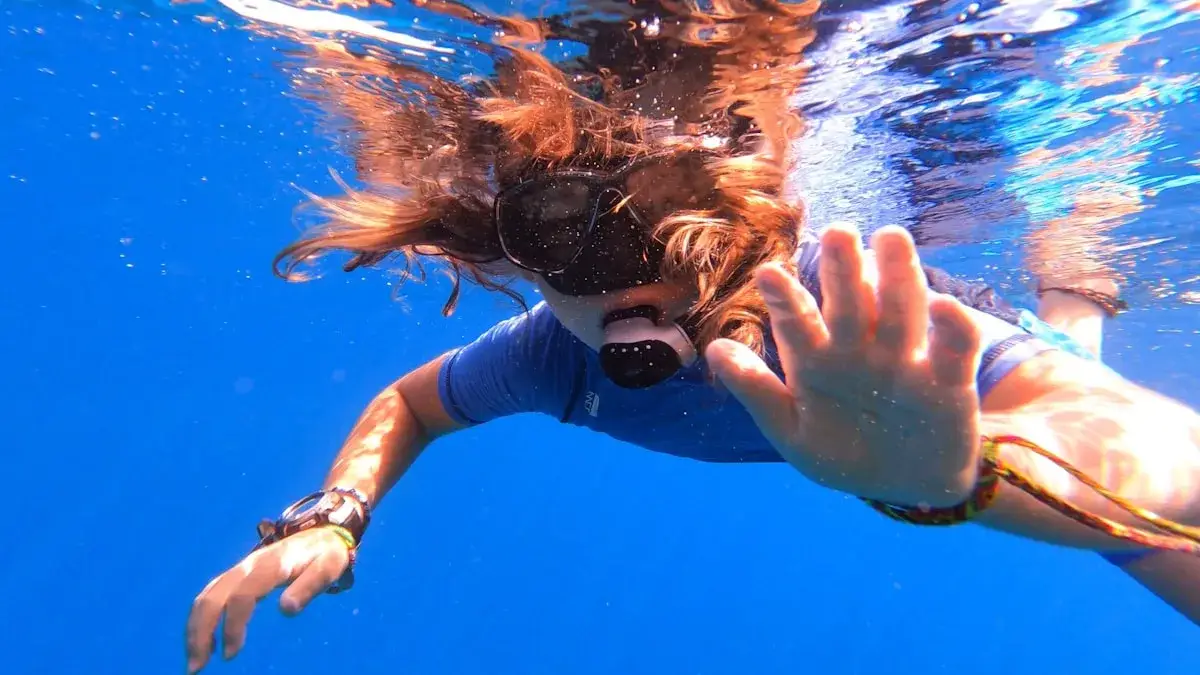 Snorkeling & Plongée