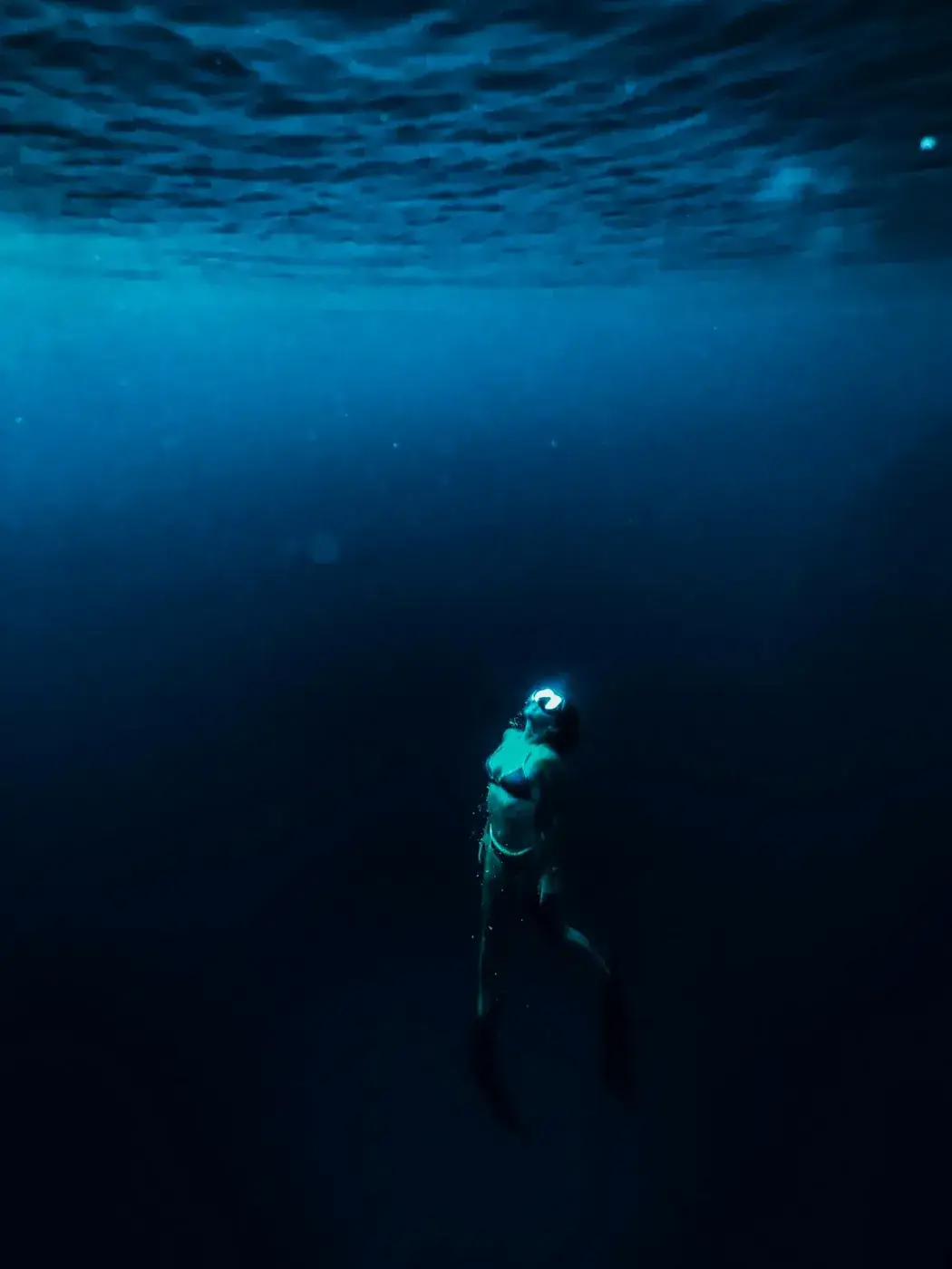 Snorkeling & Plongée — photo 2