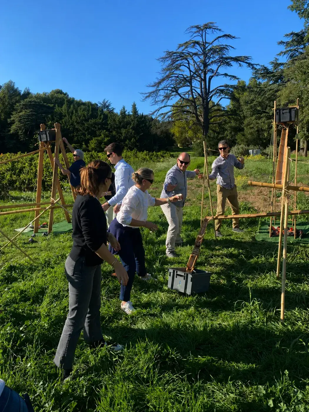 Projet H — photo 14