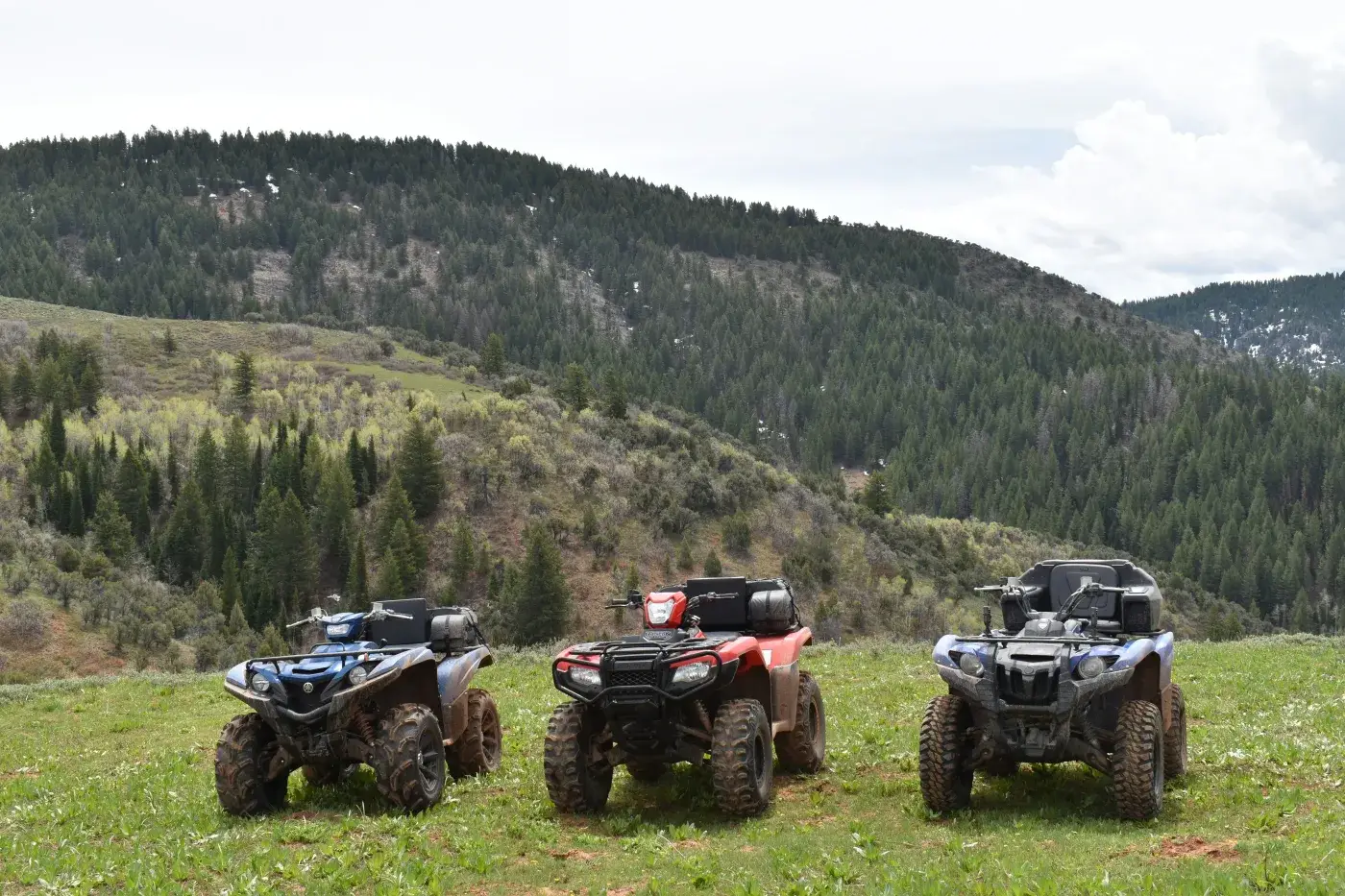 Quad — photo 2