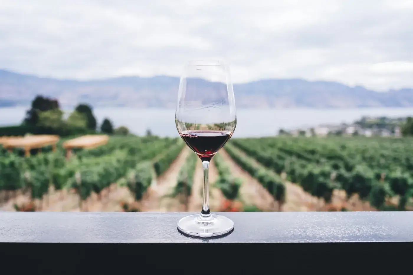 Jeux du vin — photo 2